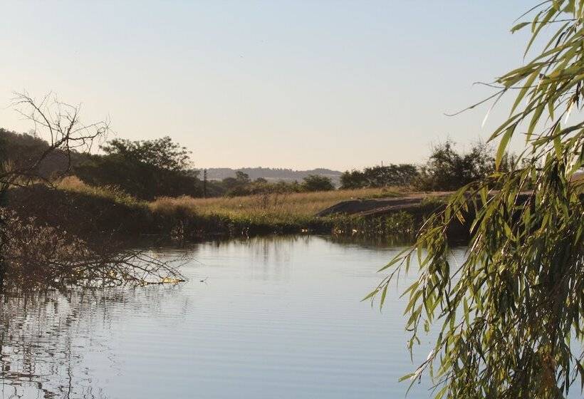 بنسيون Country Park