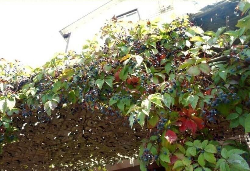 پانسیون Domik U Morya