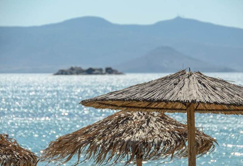 بنسيون Golden Sand Naxos