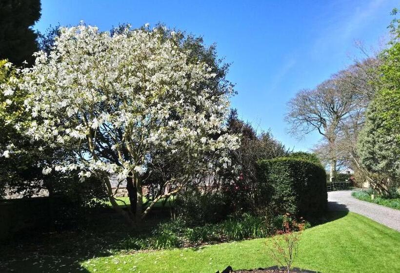 פנסיון Kilmokea Country Manor & Gardens