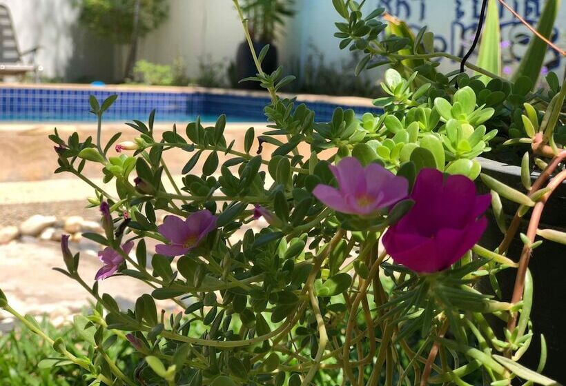 پانسیون Nika's House