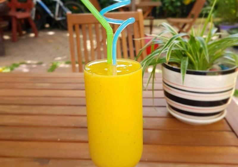 پانسیون Nika's House