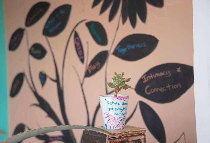 پانسیون Paradise Gardens