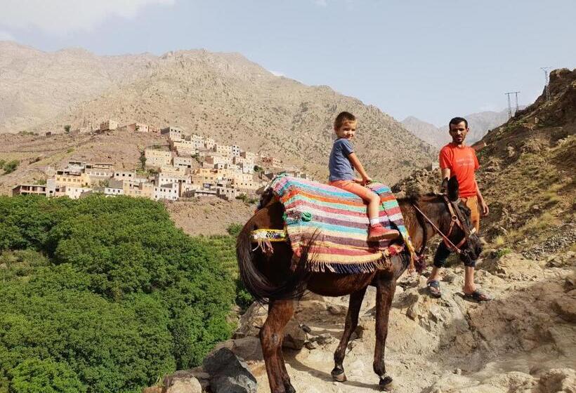 پانسیون Dar Assarou   Toubkal National Park Lodge