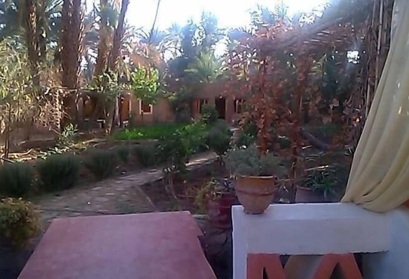 پانسیون Riad Tabhirte