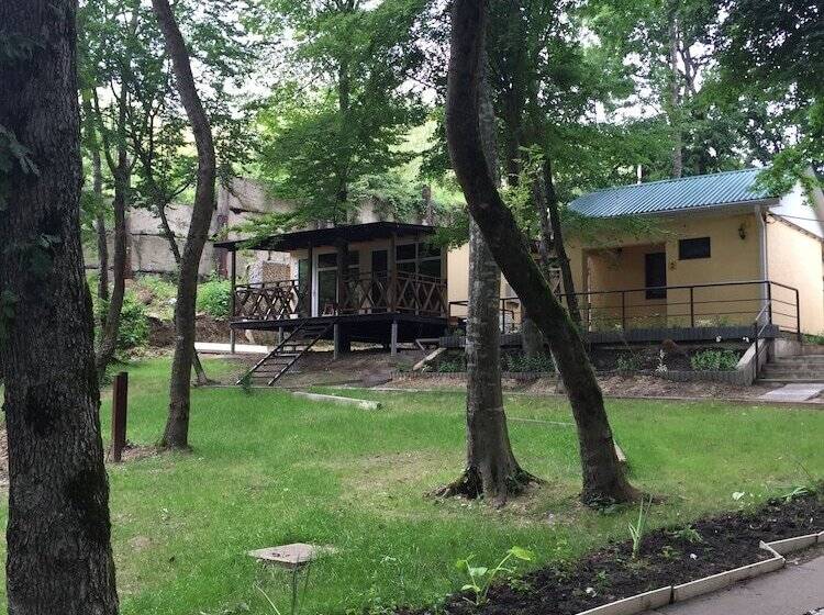 پانسیون Rucheek