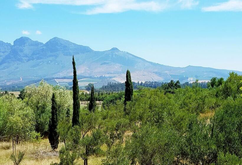 פנסיון Sandmartins