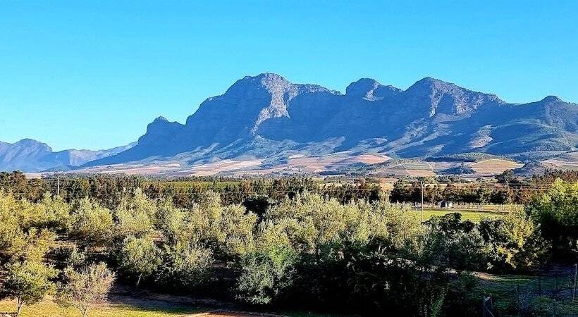 פנסיון Sandmartins