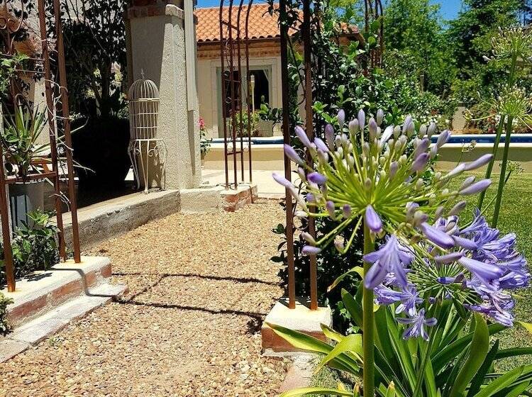 פנסיון Sandmartins