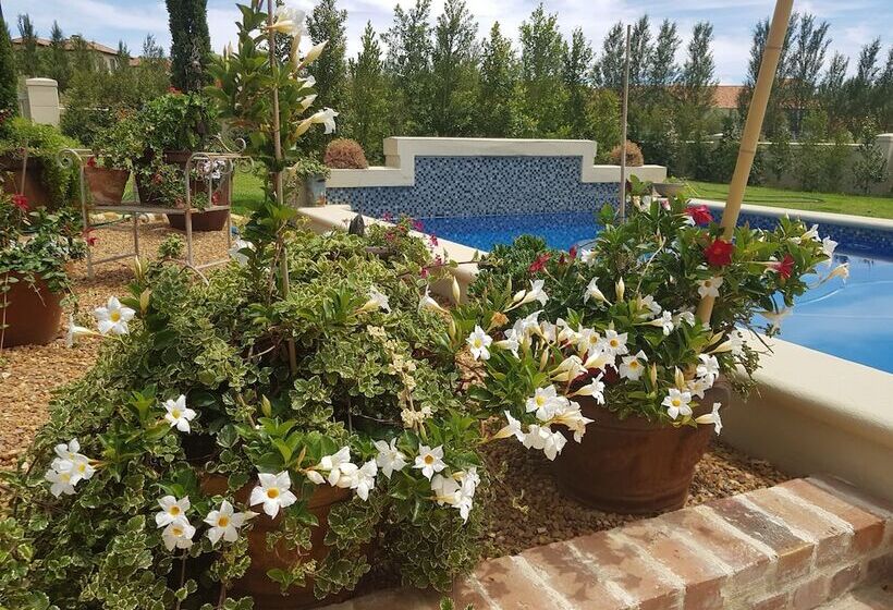 פנסיון Sandmartins