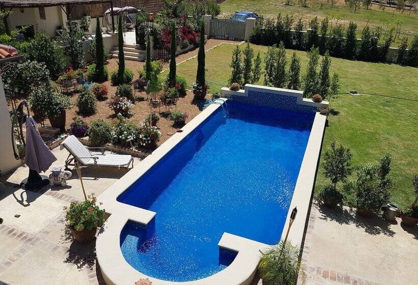 פנסיון Sandmartins