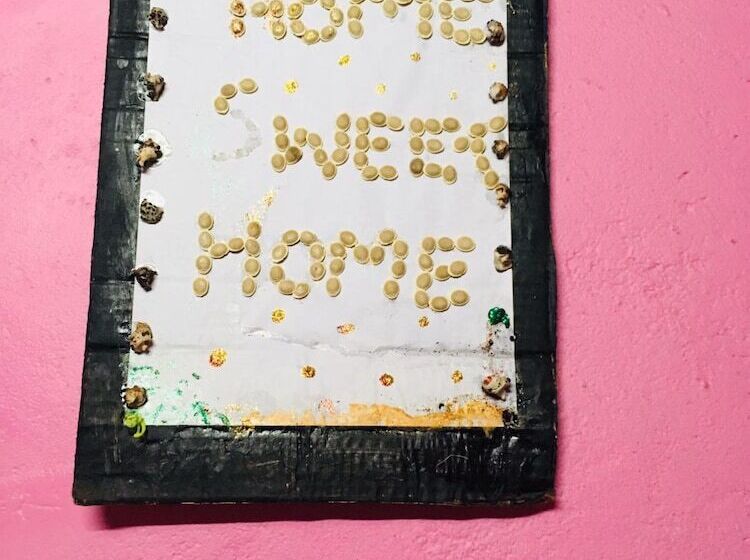 膳宿费 Tsavo Homestays