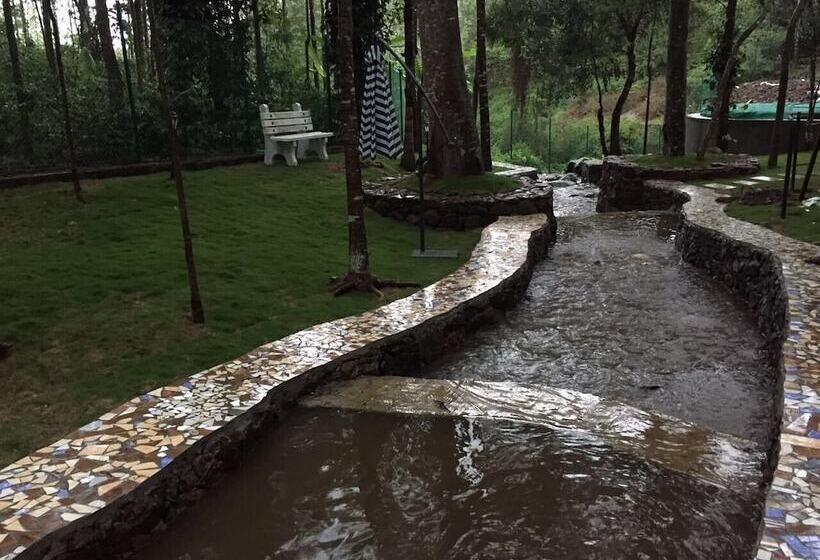 The Brook Resorts & Spa