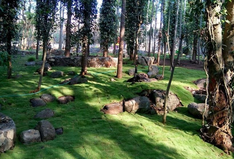 The Brook Resorts & Spa