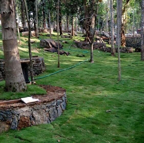 The Brook Resorts & Spa