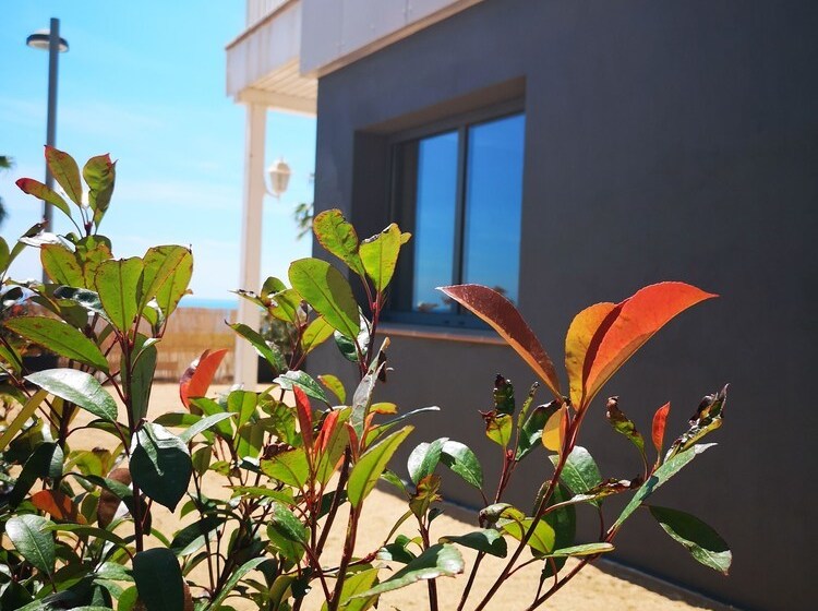 Apartaments Gibert I