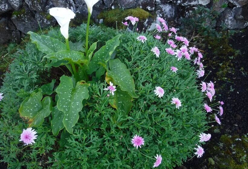 Casas De Campo Alto Da Bonança