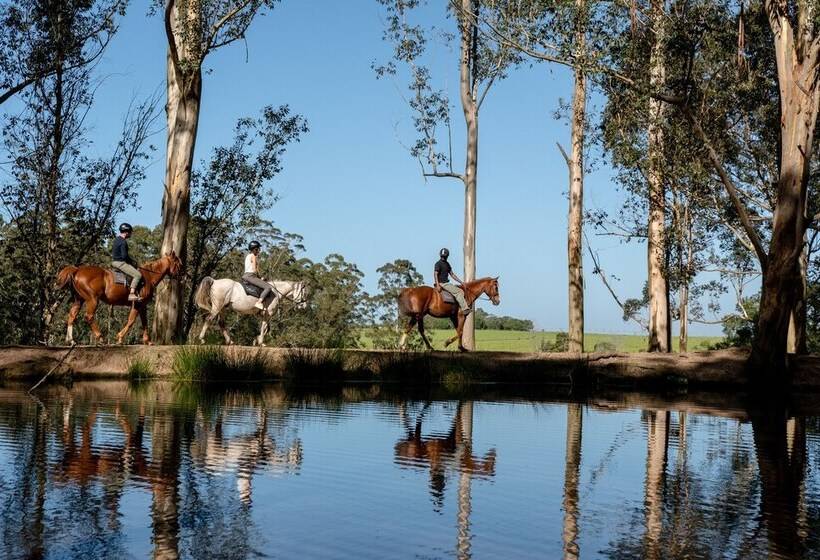 هتل Africamps At Oakhurst Glamping