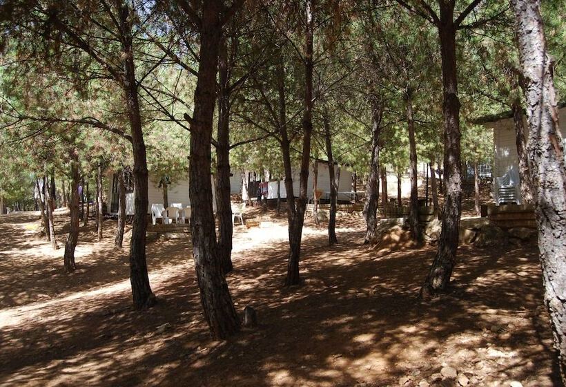 فندق Camping Valdearenas