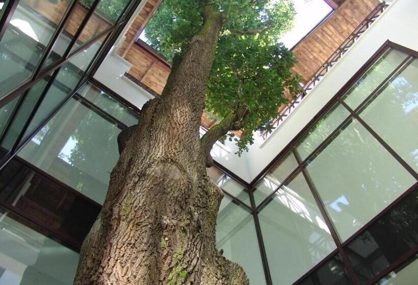 هتل Uzdrowiskowy St George