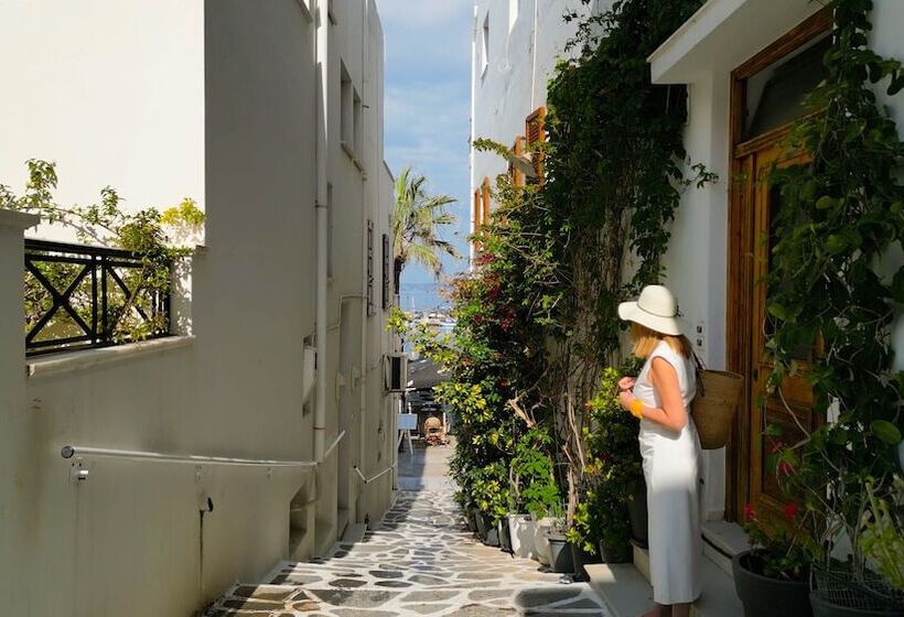 Пансион Amazeu Naxos