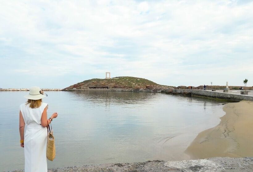 Пансион Amazeu Naxos