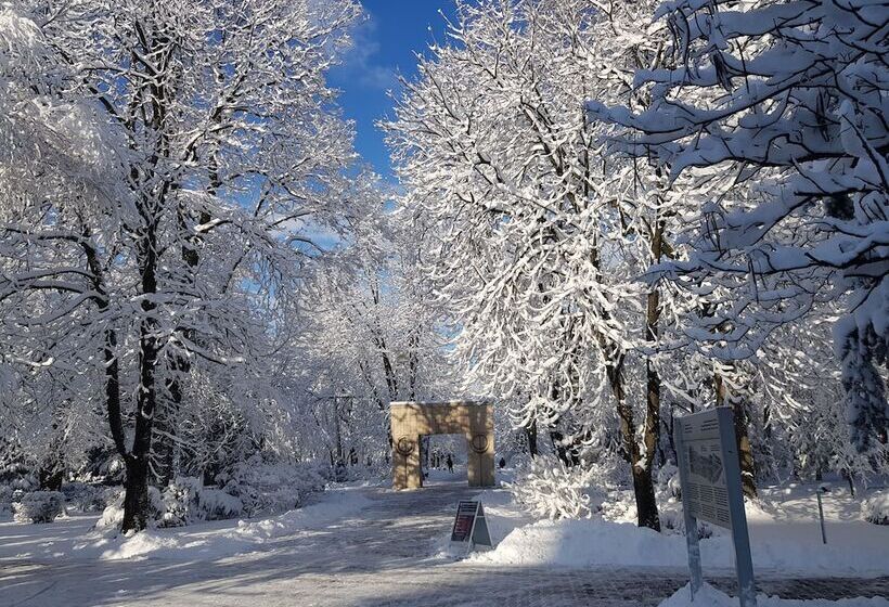 ペンション Art Boutique Central