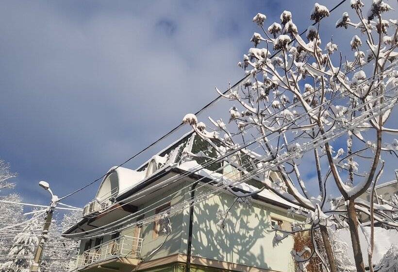 ペンション Art Boutique Central