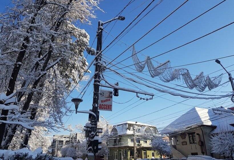 ペンション Art Boutique Central