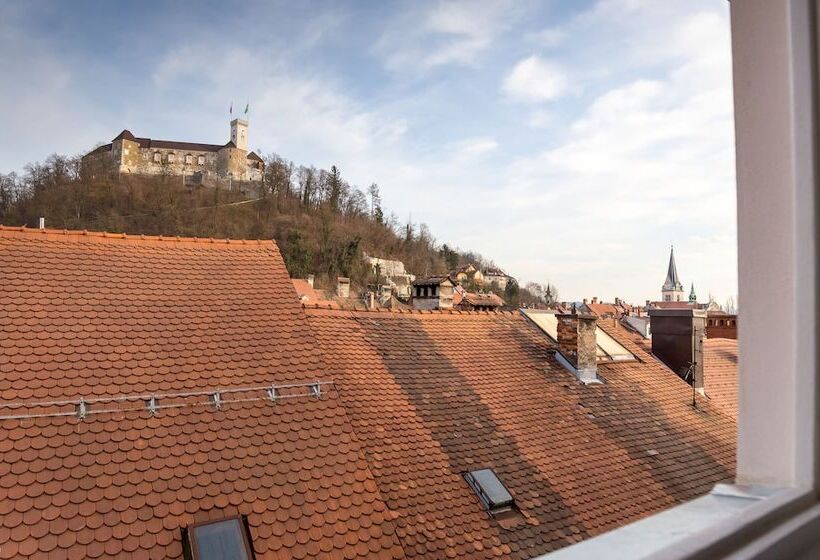 پانسیون Barbo Palace