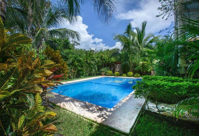 פנסיון Casa Luna Tankah