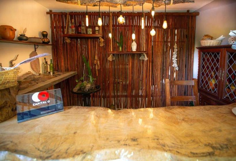 פנסיון Casa Luna Tankah