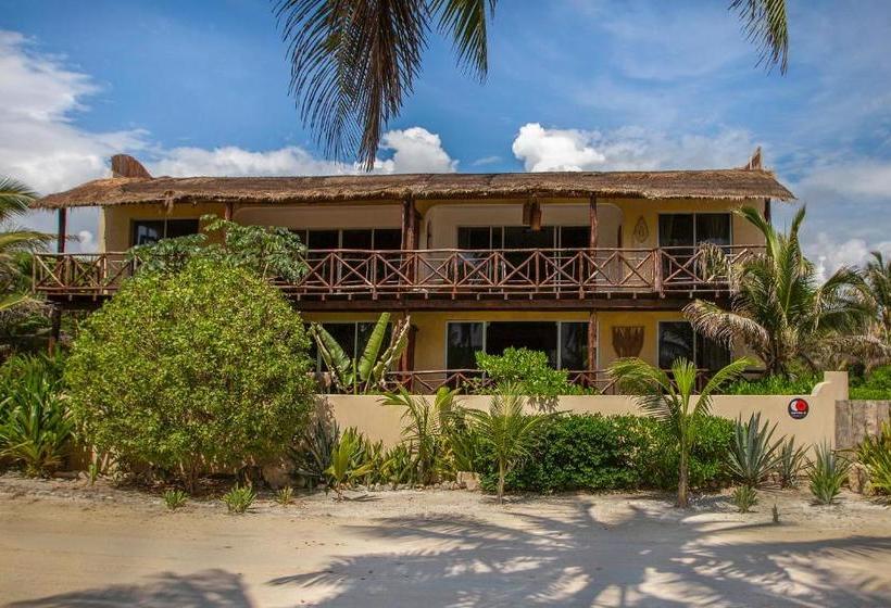 פנסיון Casa Luna Tankah