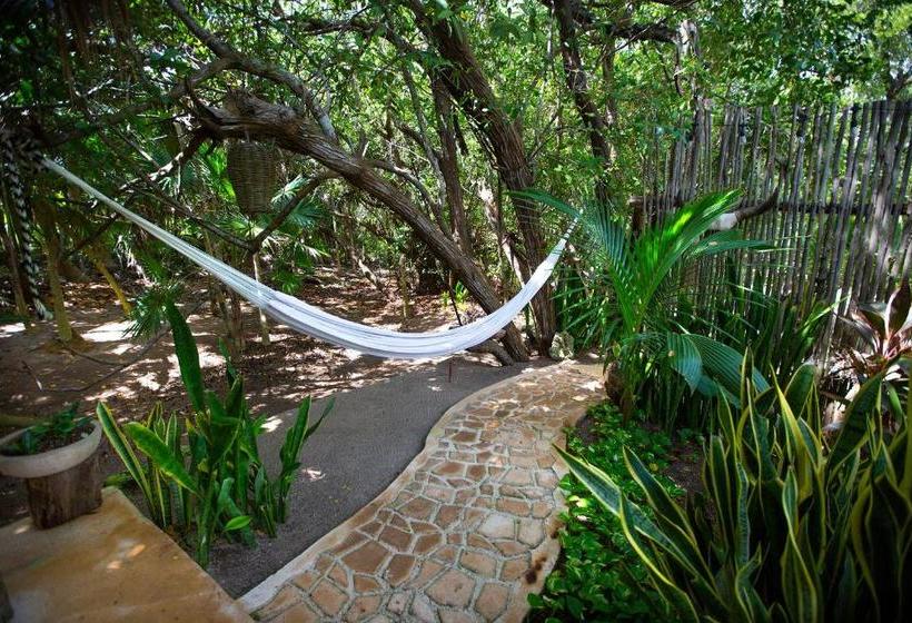 פנסיון Casa Luna Tankah