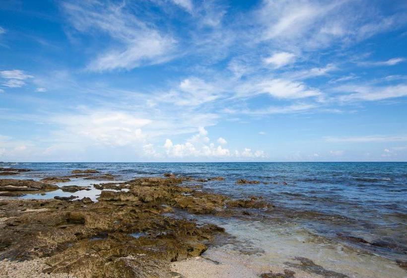 פנסיון Casa Luna Tankah