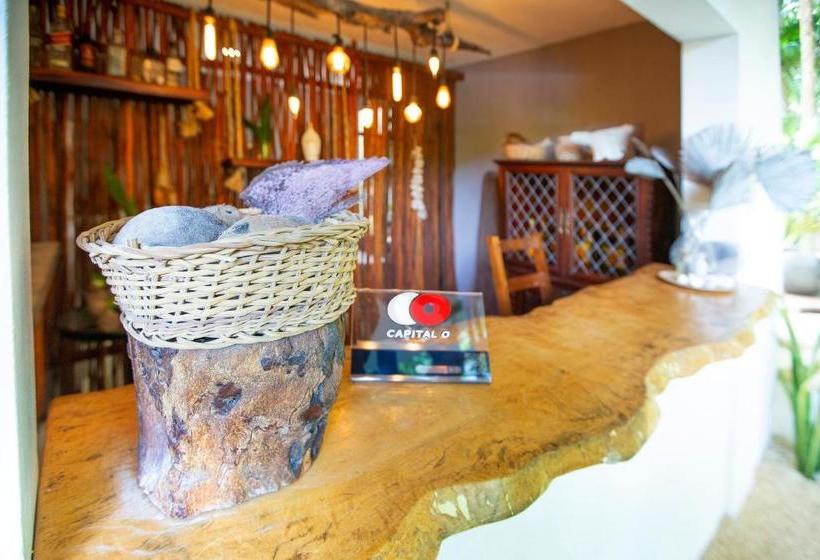 פנסיון Casa Luna Tankah