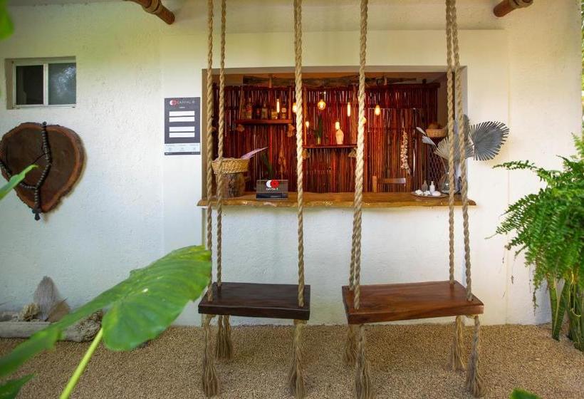 פנסיון Casa Luna Tankah