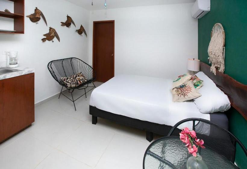 פנסיון Casa Luna Tankah