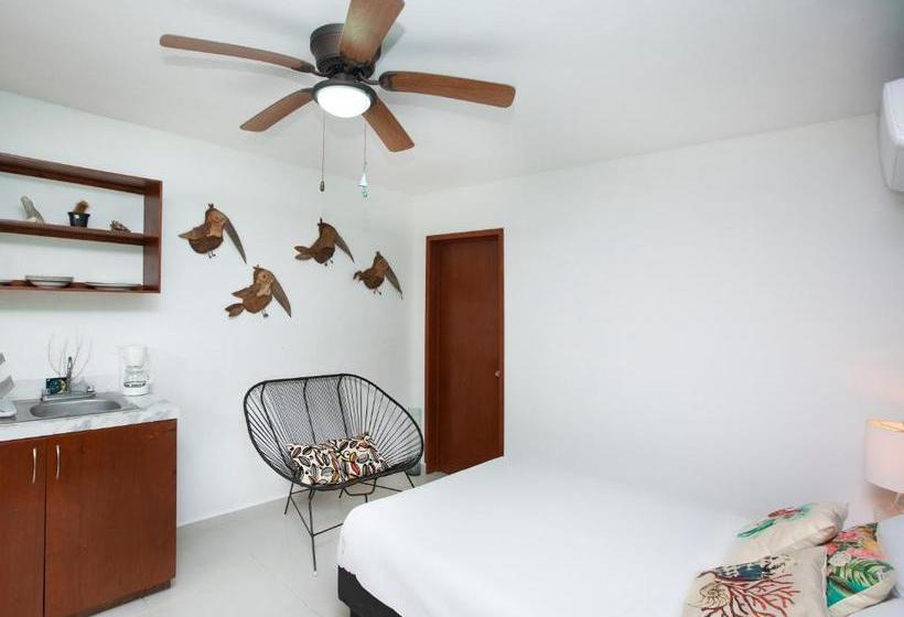 פנסיון Casa Luna Tankah