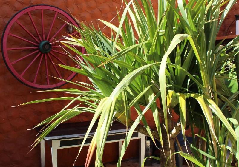 Пансион Casa Rural El Burro