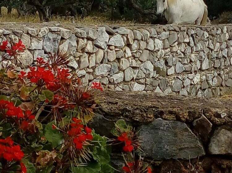 פנסיון Charouda Stone Tower