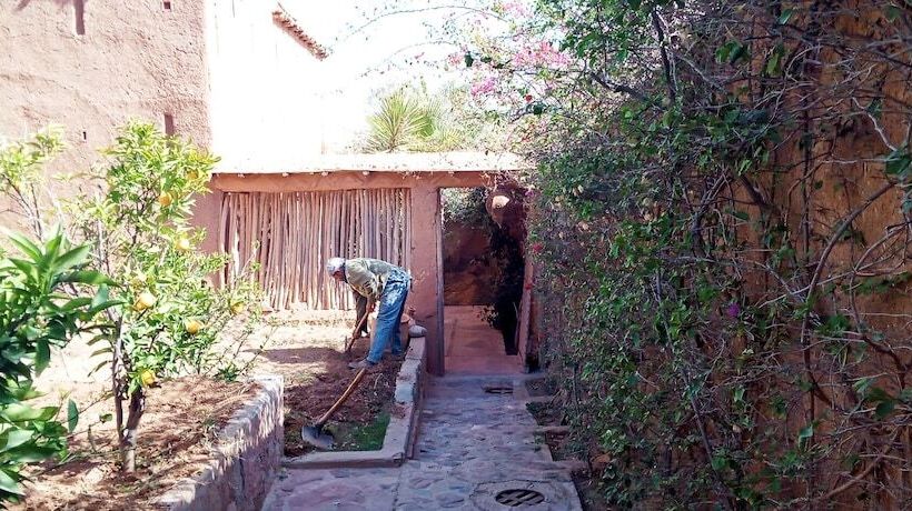 پانسیون Dar Boumida