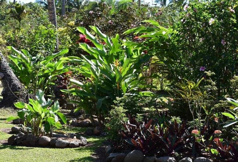 پانسیون Island Breeze Fiji