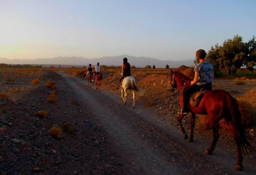 بنسيون Kasbah Les Nomades