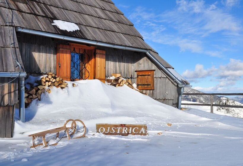 پانسیون Koca Ojstrica Velika Planina