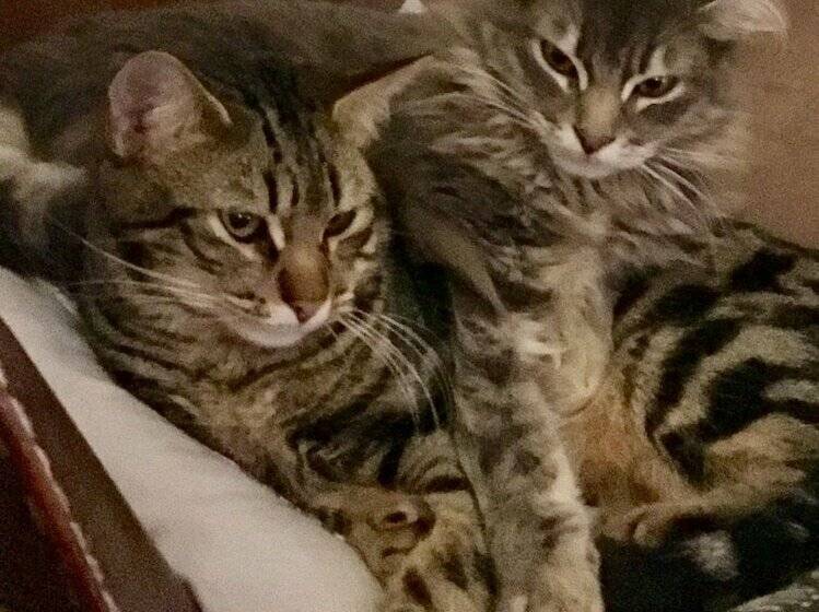 膳宿费 La Careza De Mijas   Adults Only