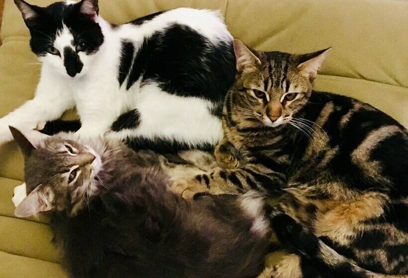 膳宿费 La Careza De Mijas   Adults Only