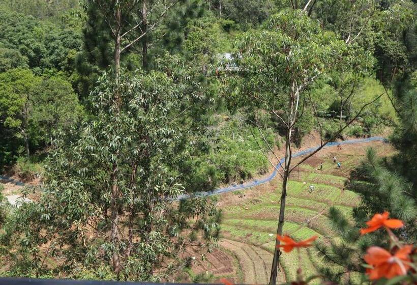 Pensão Lilara Hills   Diyatalawa