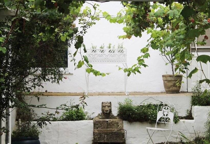 膳宿费 Moffid's Place