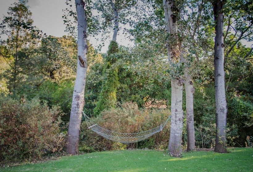 膳宿费 Moffid's Place